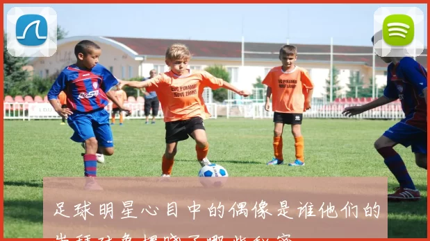 足球明星心目中的偶像是谁他们的崇拜对象揭晓了哪些秘密