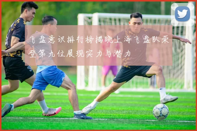 飞盘意识排行榜揭晓上海飞盘队荣登第九位展现实力与潜力