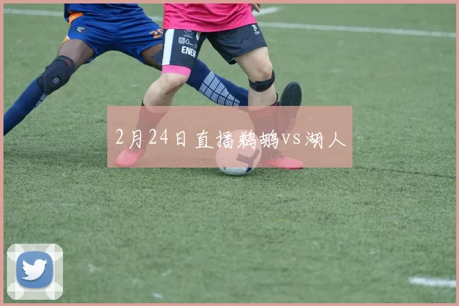 2月24日直播鹈鹕vs湖人