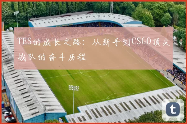 TES的成长之路：从新手到CSGO顶尖战队的奋斗历程