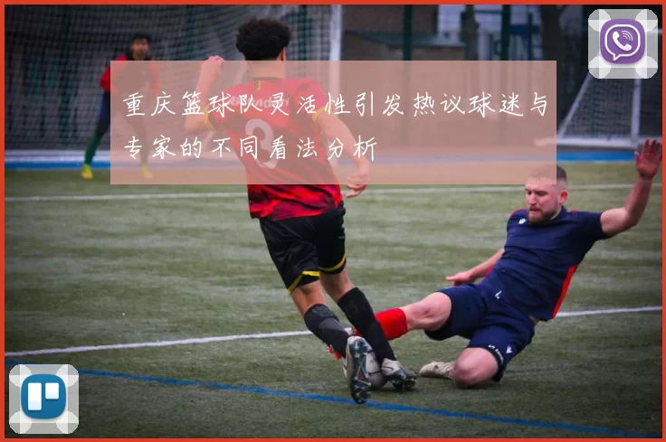 重庆篮球队灵活性引发热议球迷与专家的不同看法分析