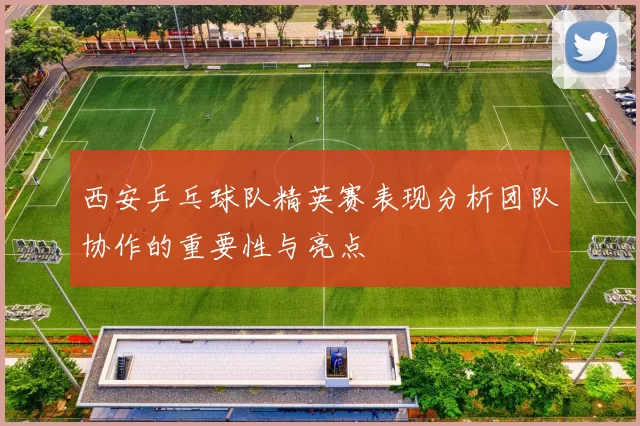 西安乒乓球队精英赛表现分析团队协作的重要性与亮点