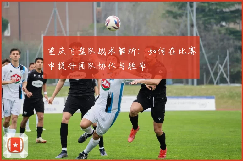 重庆飞盘队战术解析：如何在比赛中提升团队协作与胜率