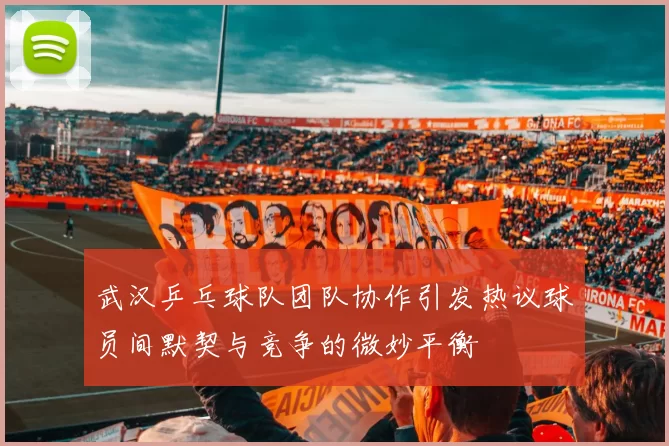 武汉乒乓球队团队协作引发热议球员间默契与竞争的微妙平衡