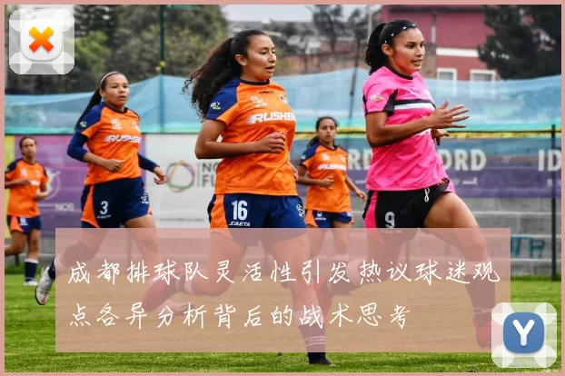 成都排球队灵活性引发热议球迷观点各异分析背后的战术思考
