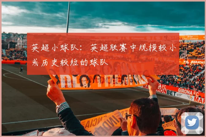 英超小球队：英超联赛中规模较小或历史较短的球队