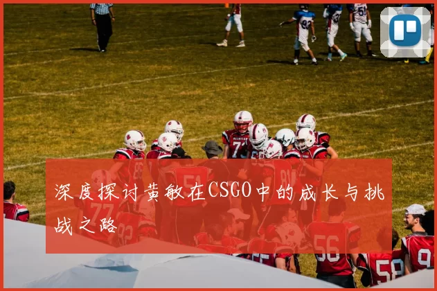 深度探讨黄敏在CSGO中的成长与挑战之路