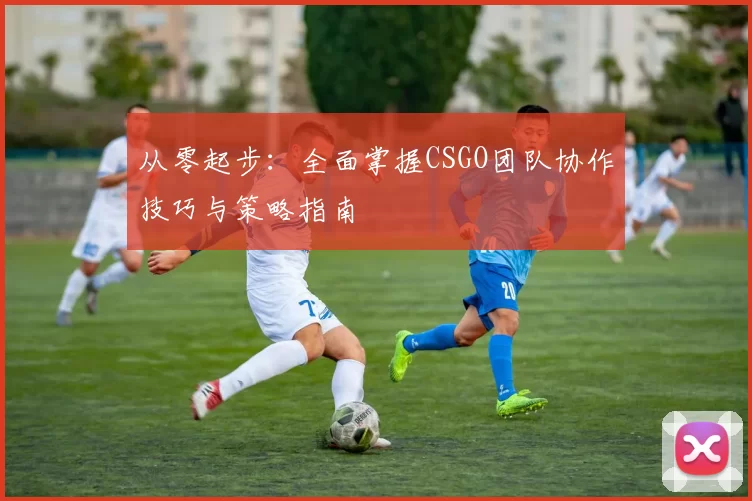 从零起步：全面掌握CSGO团队协作技巧与策略指南