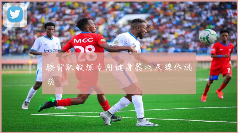 腰背肌锻炼专用健身器材及操作说明