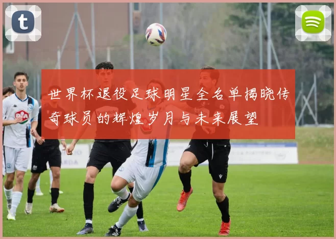 世界杯退役足球明星全名单揭晓传奇球员的辉煌岁月与未来展望