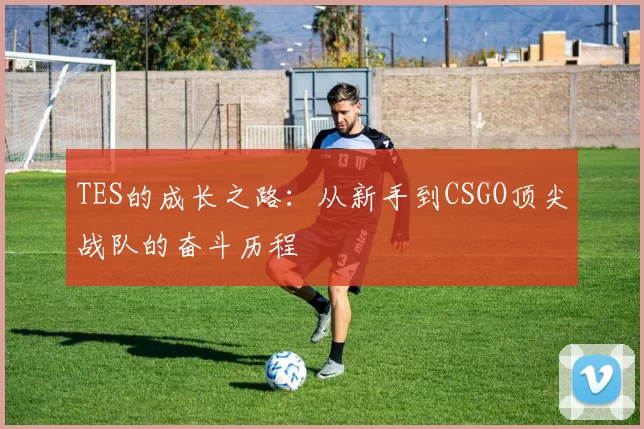 TES的成长之路：从新手到CSGO顶尖战队的奋斗历程
