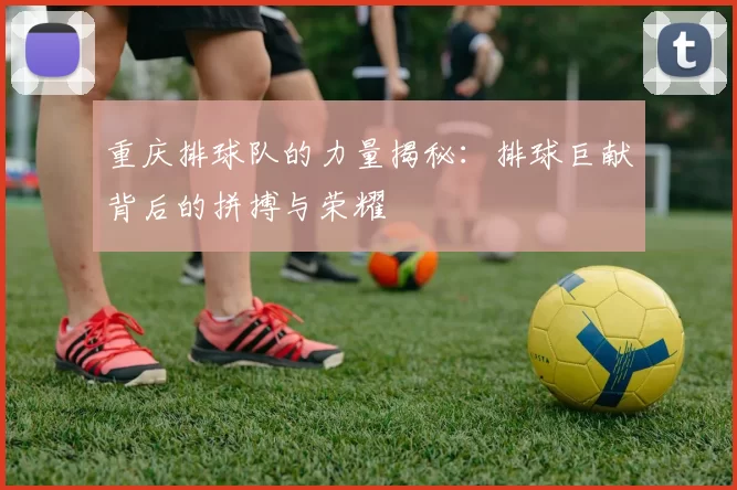 重庆排球队的力量揭秘：排球巨献背后的拼搏与荣耀