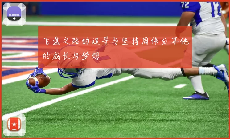 飞盘之路的追寻与坚持周伟分享他的成长与梦想