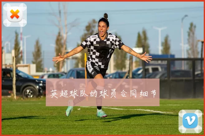 英超球队的球员合同细节