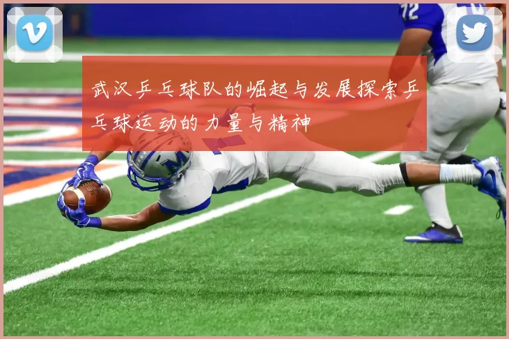 武汉乒乓球队的崛起与发展探索乒乓球运动的力量与精神
