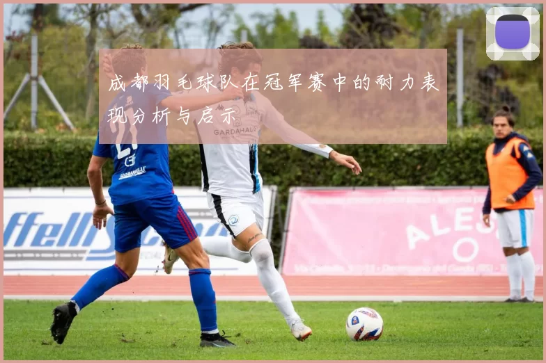 成都羽毛球队在冠军赛中的耐力表现分析与启示