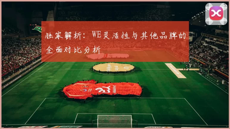 独家解析：WE灵活性与其他品牌的全面对比分析