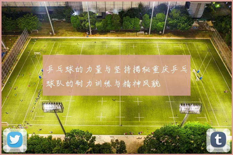 乒乓球的力量与坚持揭秘重庆乒乓球队的耐力训练与精神风貌